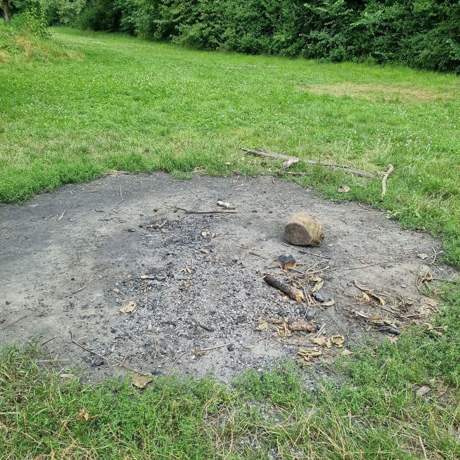 20210721 Volkspark Kleinzschocher_Beseitigung Lagerfeuerschäden.jpg