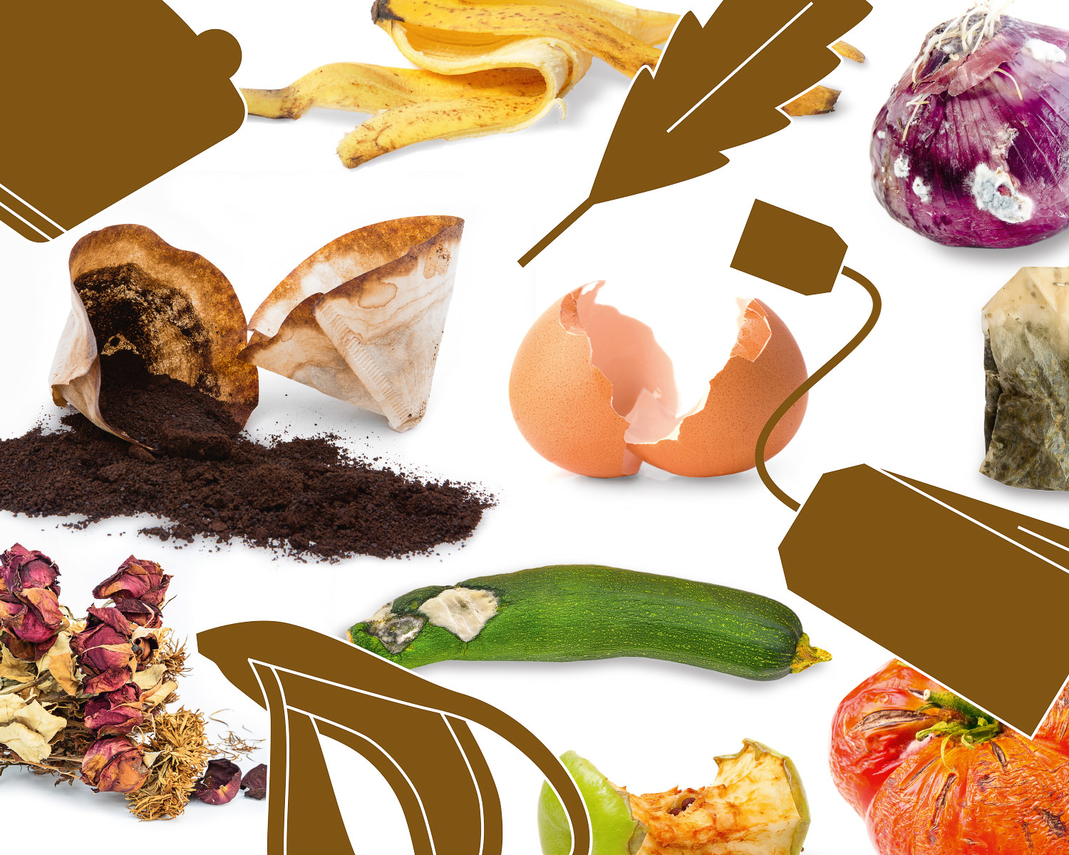 Eierschale, Zucchini und andere Bioabfälle gehören in die Biotonne