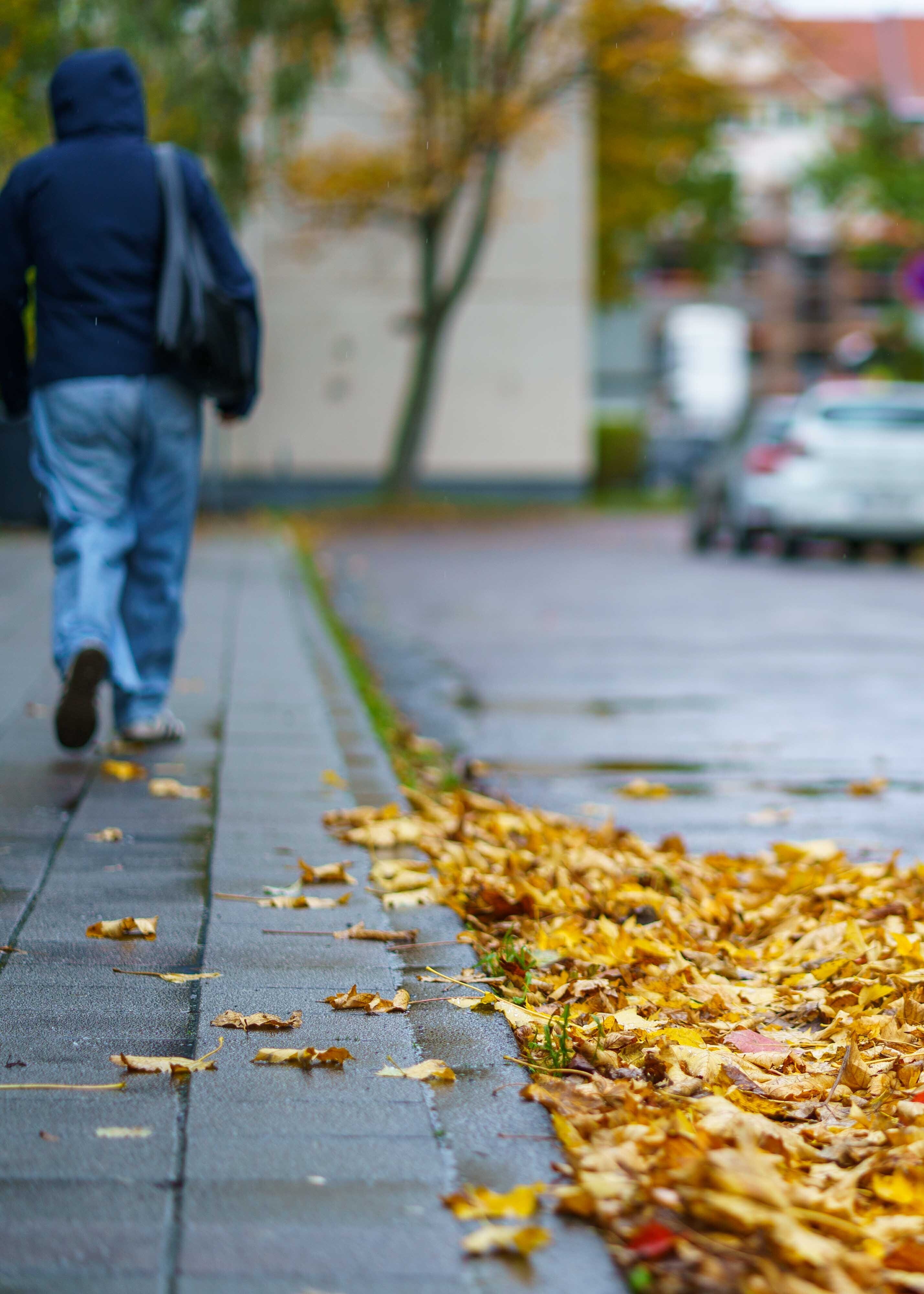 Person geht auf dem Bürgersteig. Neben dem Bürgersteig liegt auf der Fahrbahn Laub.