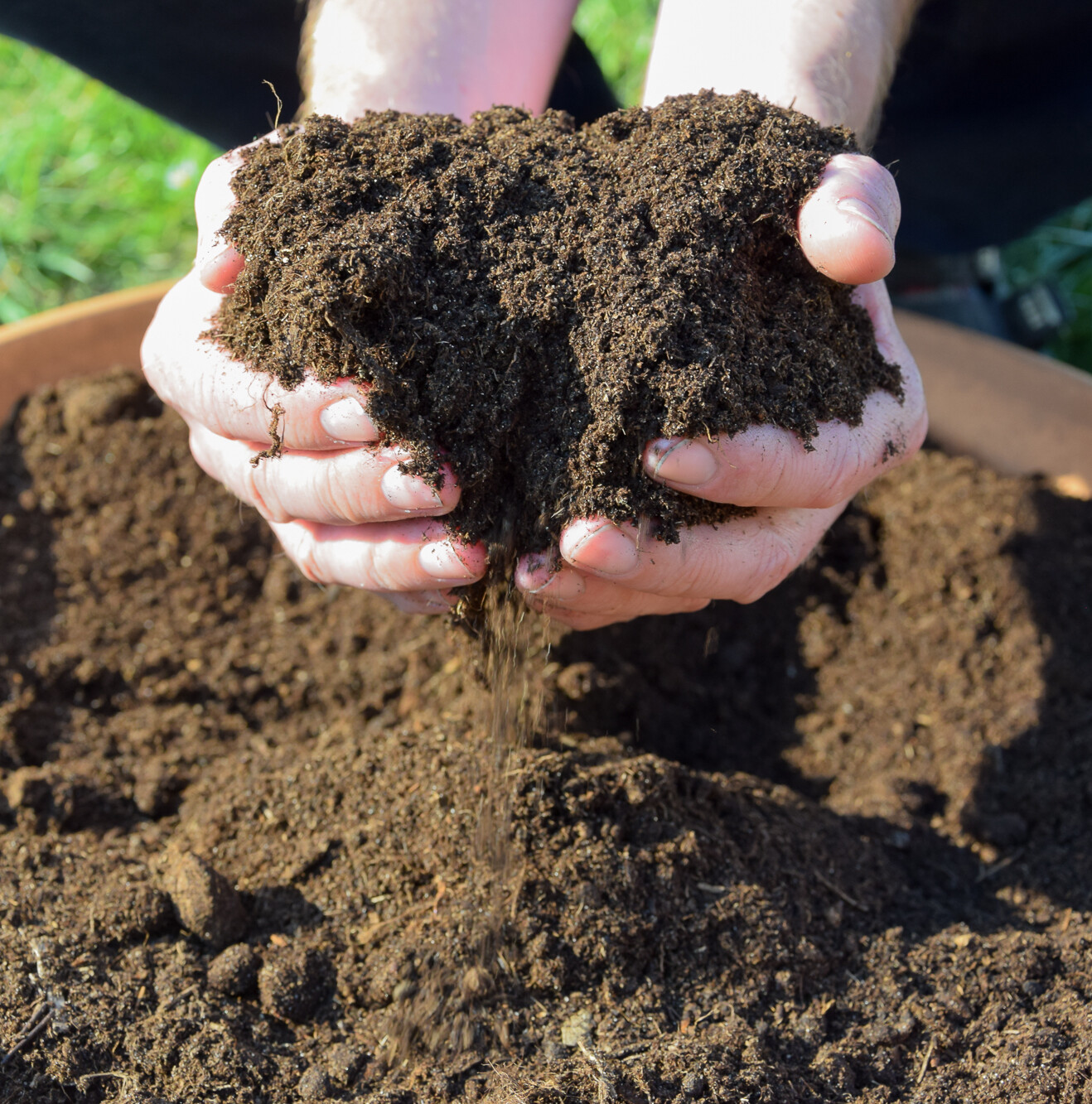 Zwei H&auml;nde halten Kompost &uuml;ber einer Pflanzschale.