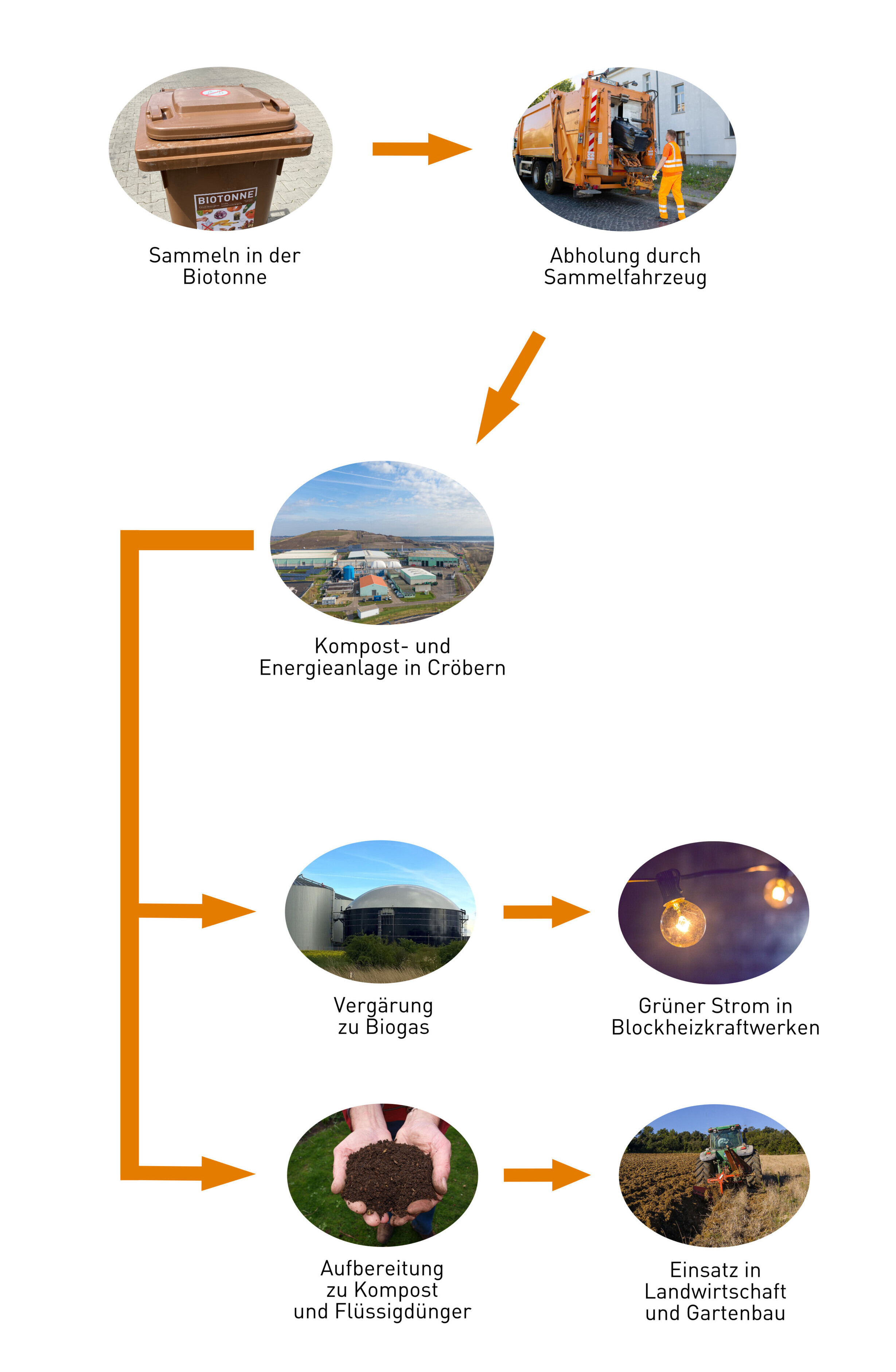 Die Grafik zeigt, was mit dem eingesammelten Bioabfall passiert: Bioabfall in der Biotonne wird vom Abfallsammelfahrzeug abgeholt und zur Kompost- und Energieanlage in Cr&ouml;bern gebracht. Dort erfolgt die Verg&auml;rung zu Biogas und die Verstromung und Einspeisung ins Stromnetz sowie die Aufbereitung als Kompost und Fl&uuml;ssigd&uuml;nger und anschlie&szlig;end der Einsatz auf dem Acker.