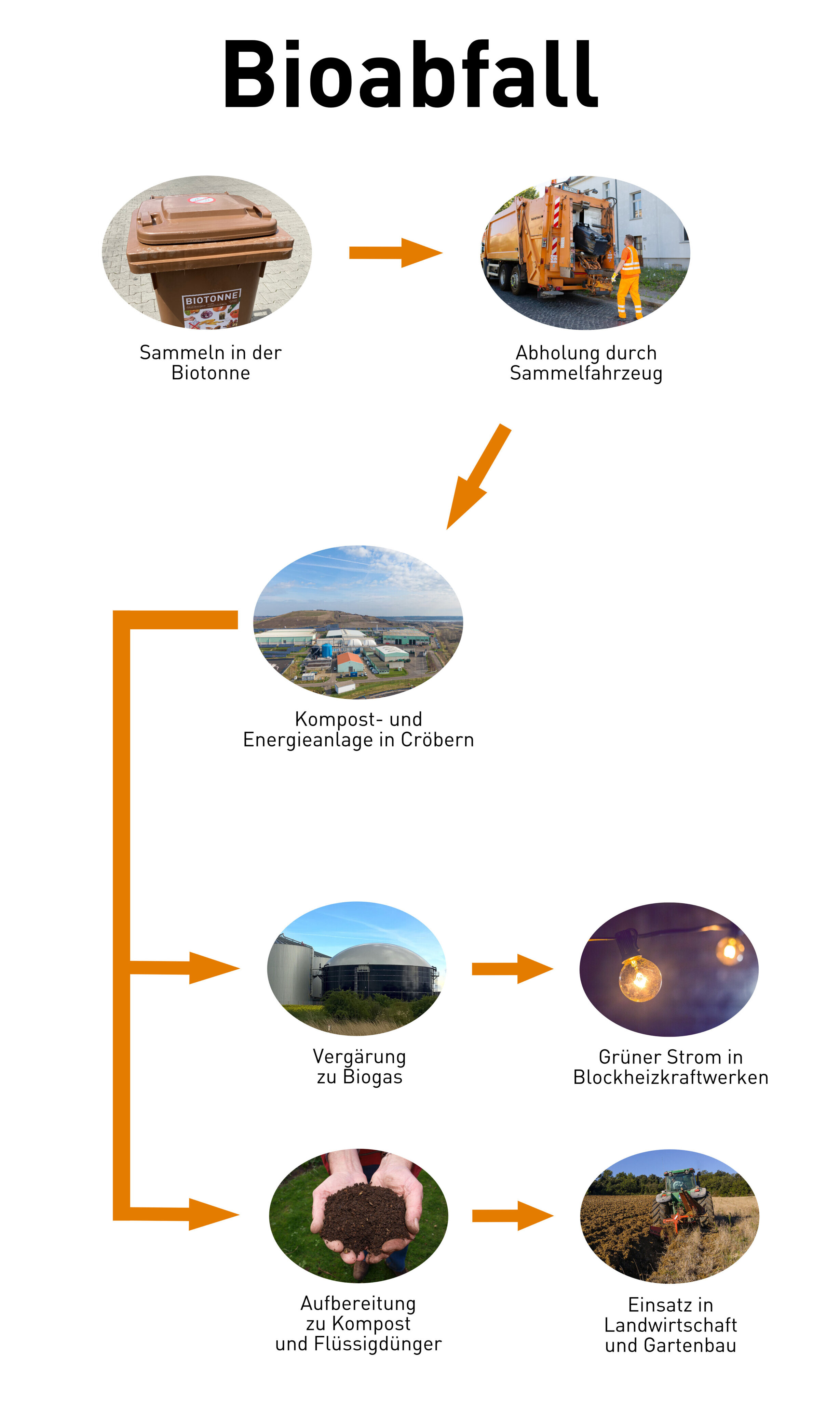 Die Grafik zeigt, was mit dem eingesammelten Bioabfall passiert: Bioabfall in der Biotonne wird vom Abfallsammelfahrzeug abgeholt und zur Kompost- und Energieanlage in Cr&ouml;bern gebracht. Dort erfolgt die Verg&auml;rung zu Biogas und die Verstromung und Einspeisung ins Stromnetz sowie die Aufbereitung als Kompost und Fl&uuml;ssigd&uuml;nger und anschlie&szlig;end der Einsatz auf dem Acker.