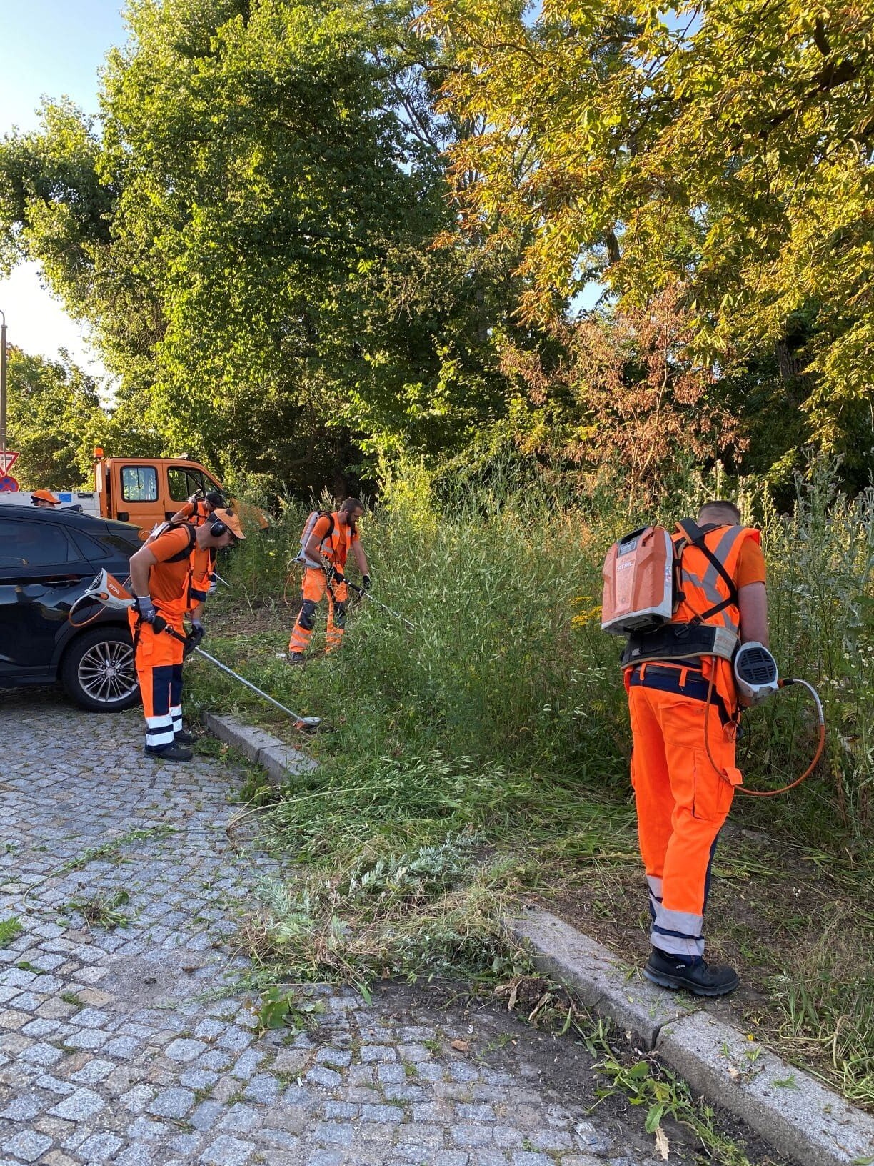 drei Mitarbeiter der Stadtreinigung Leipzig auf einem verwucherten Weg entfernen mit Motorsensen Wildwuchs